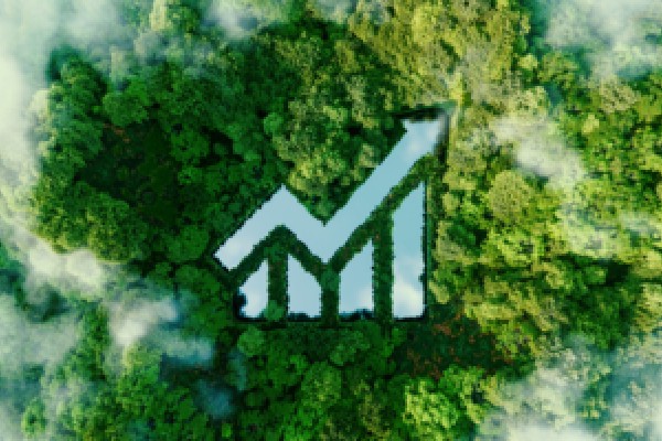 纪念郑和下西洋620周年活动在沙巴启幕